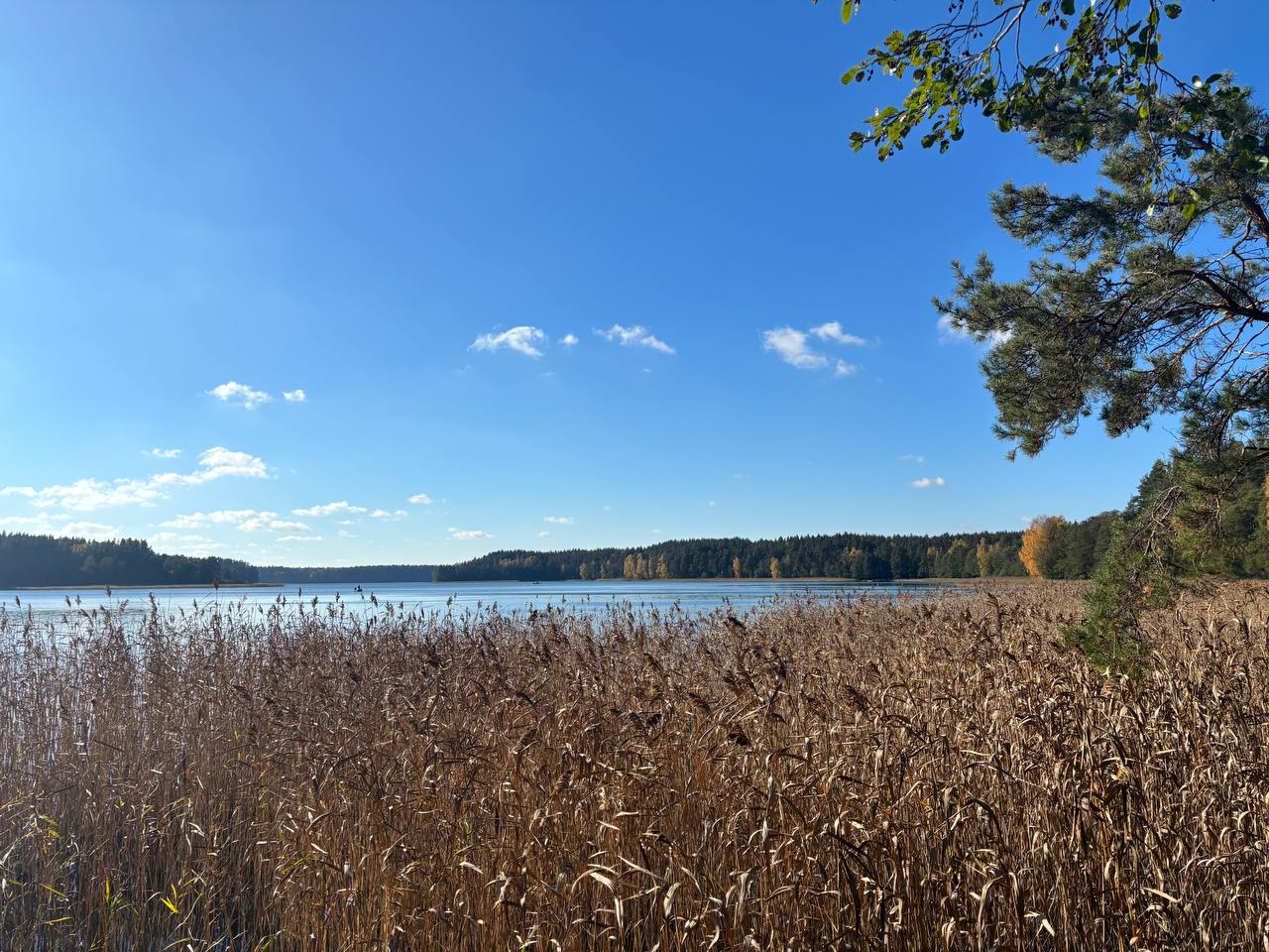 Lakajų Resort vieta prie vandens