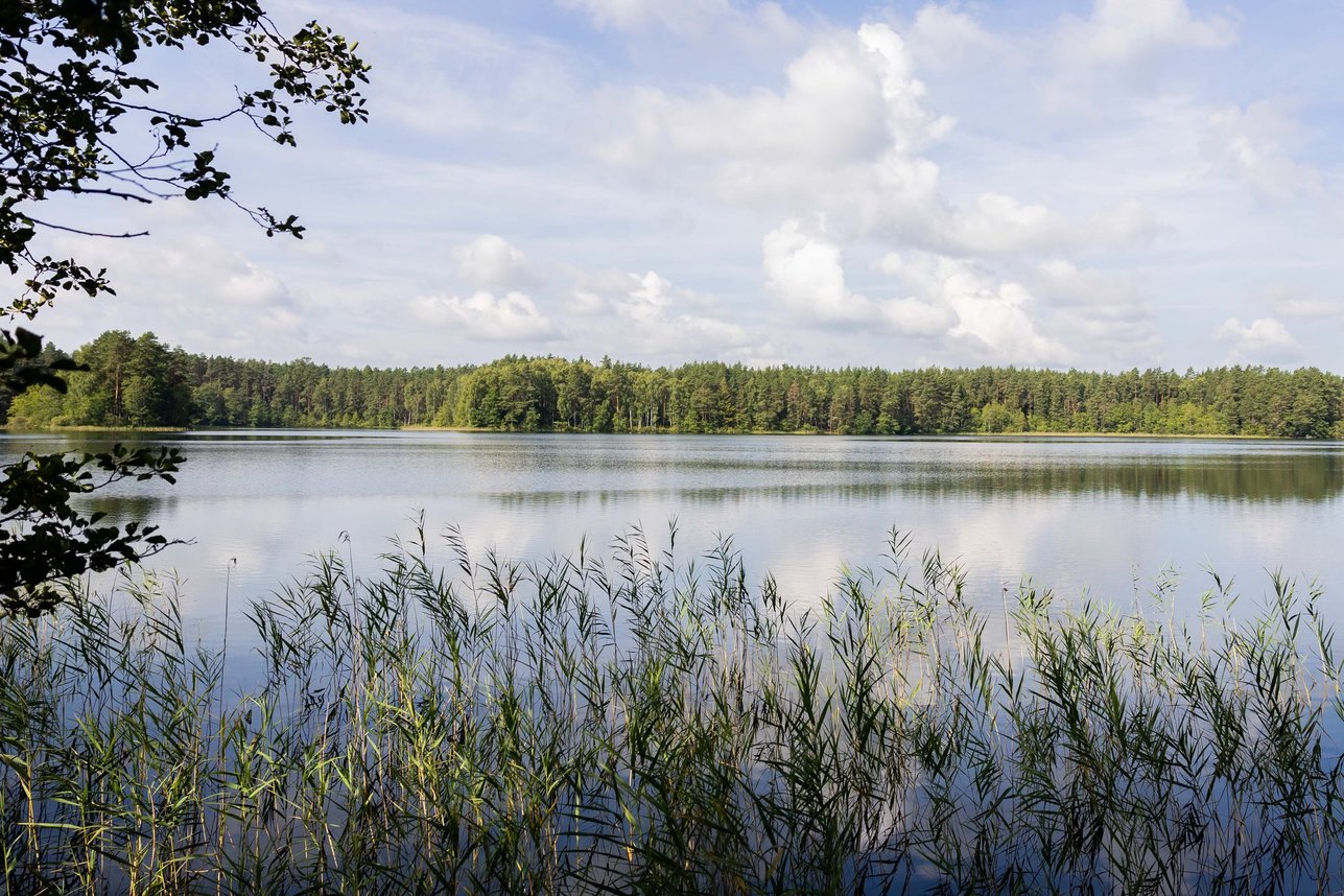 Lakajų Resort pakrantė iš oro