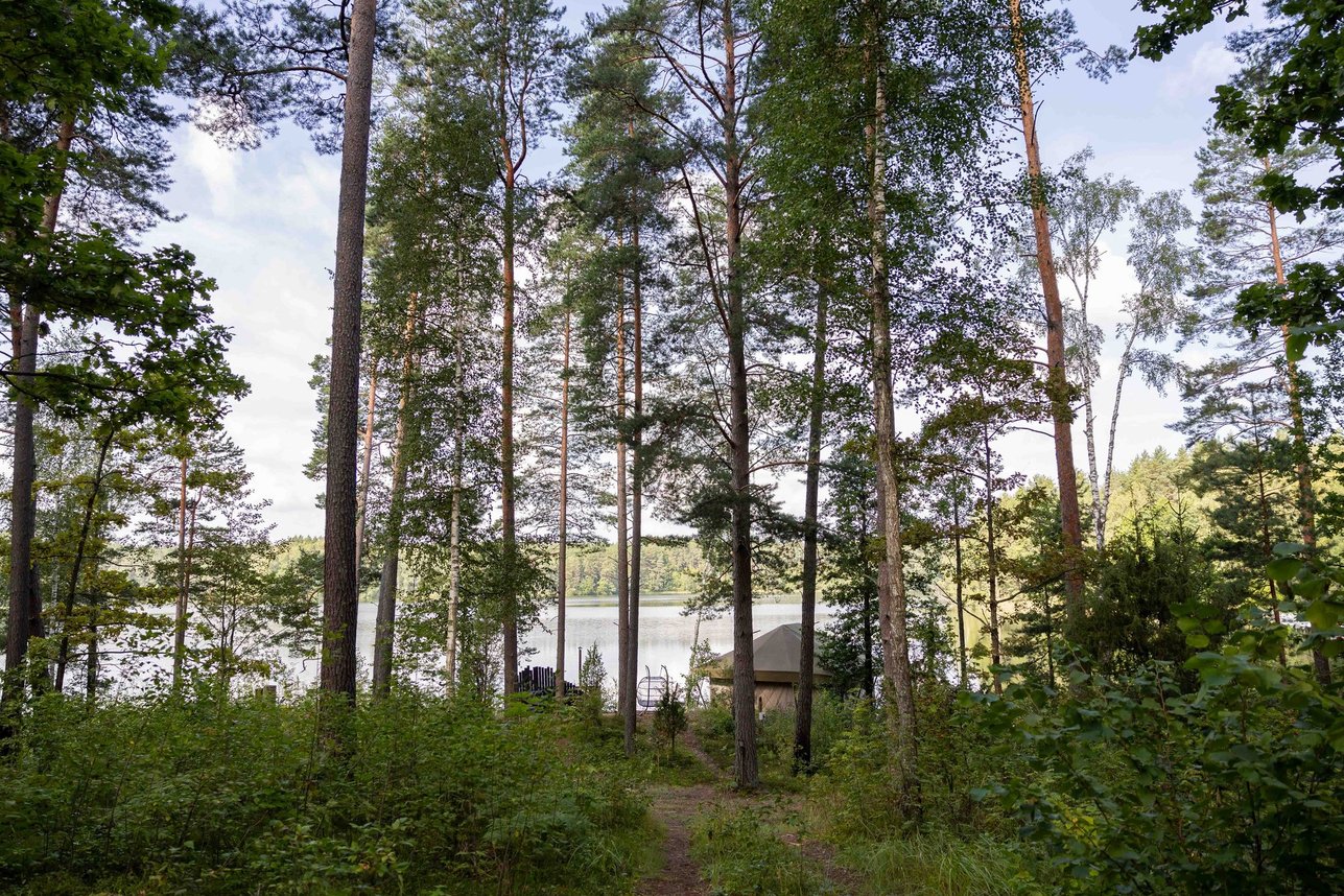 Miškas ir ežeras aplink Lakajų Resort