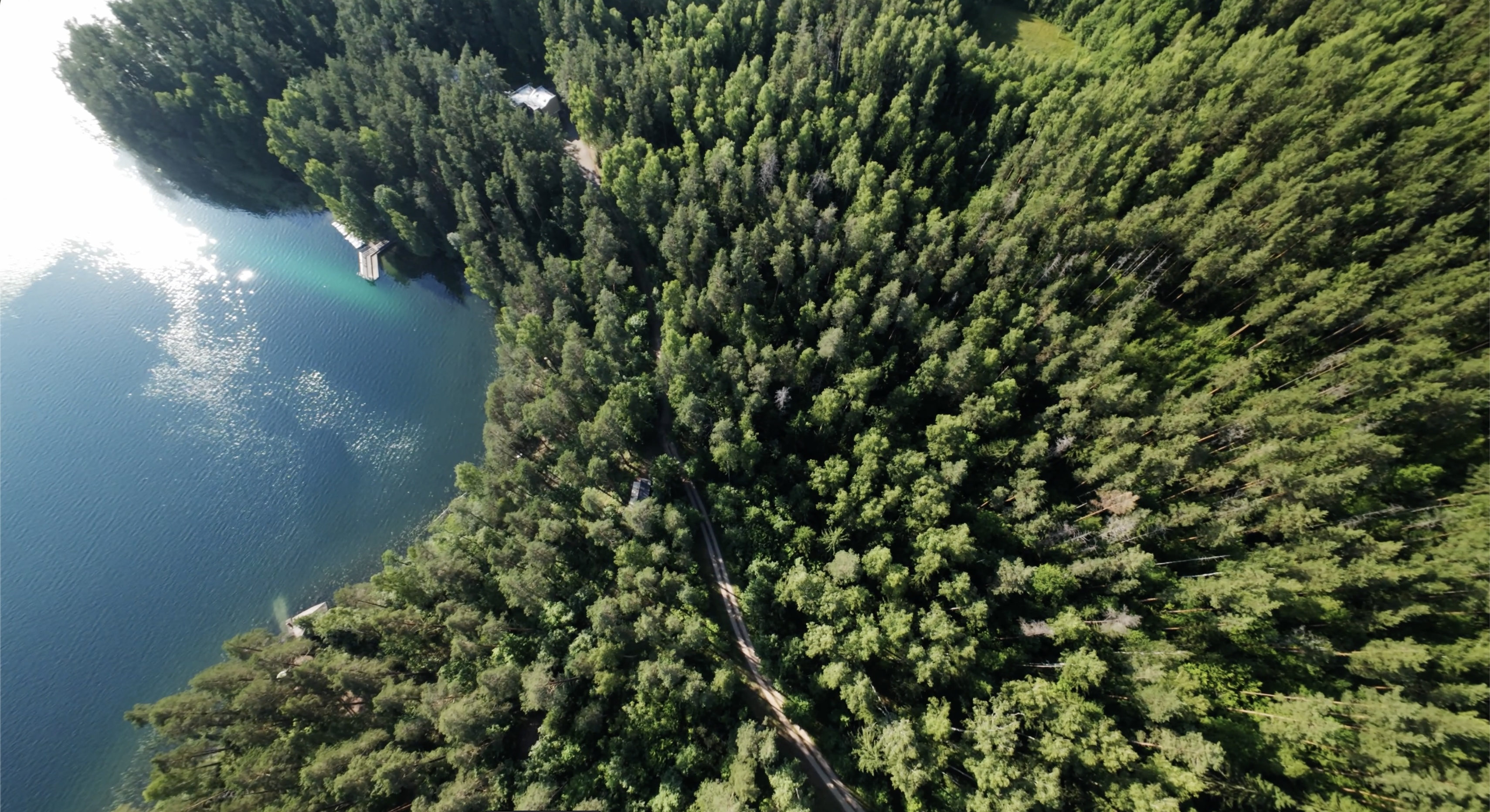 Lakajų Resort miškas ir ežero pakrantė iš oro